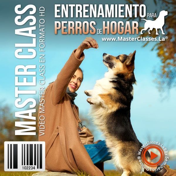 Curso Entrenamiento para Perros de Hogar Wikiinnova.com Cursos 2023 Curso-Entrenamiento-para-Perros-de-Hogar-Wikiinnova.com-Cursos-2023