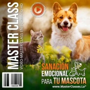 Curso Sanación Emocional para Tu Mascota portada